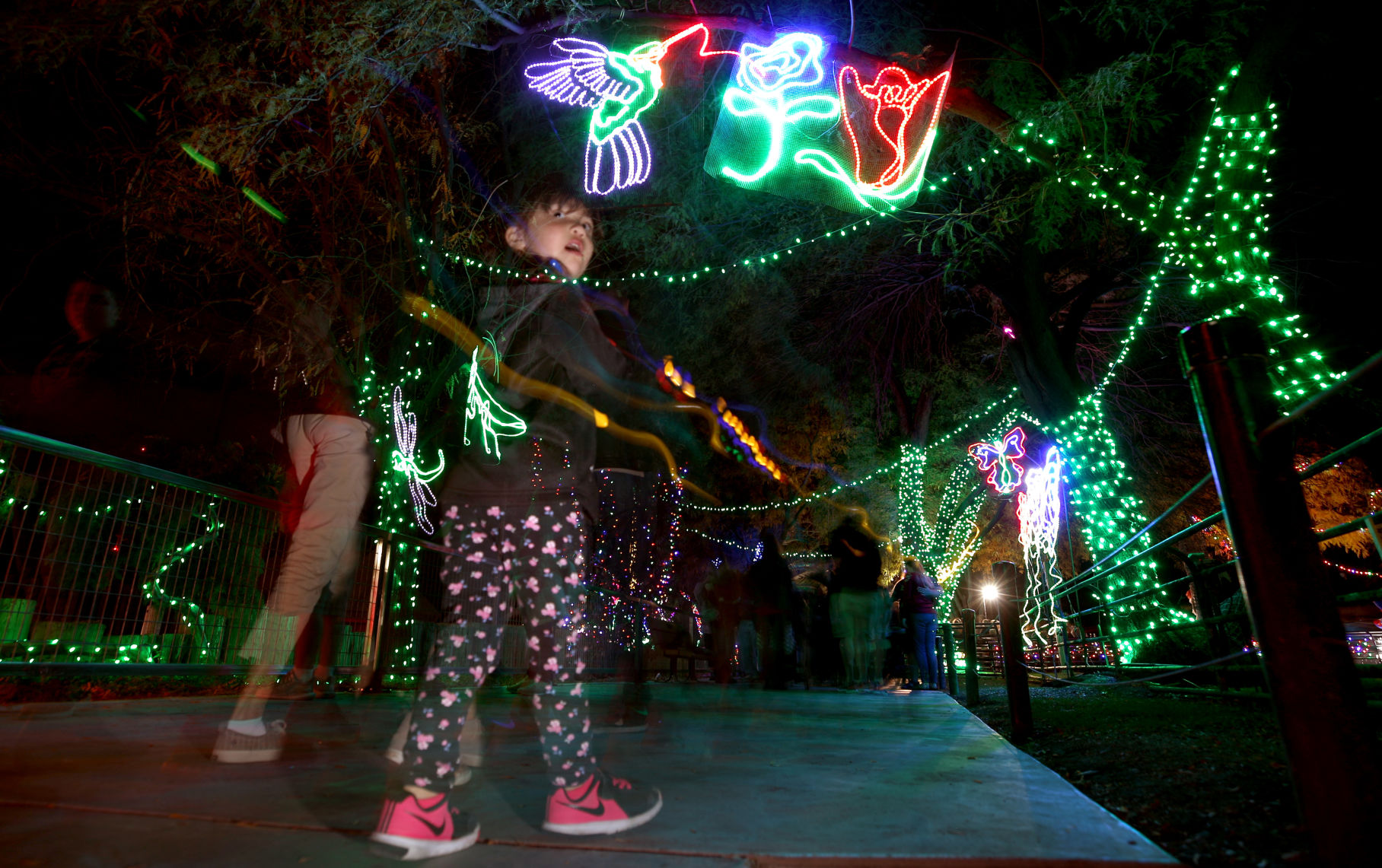Zoo Lights